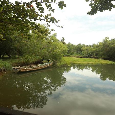 Lara Lake View Resort Thiruvananthapuram Εξωτερικό φωτογραφία